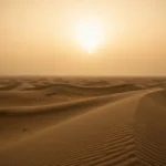 Dune au cinéma : les adaptations, leurs différences et l’ordre à suivre
