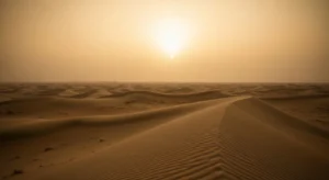 Les dunes à perte de vue, décor central de l'univers de Frank Herbert adapté au cinéma