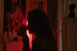 Regarder du cinéma de patrimoine en streaming depuis son salon, un choix de plateforme qui conditionne le catalogue accessible