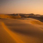 Denis Villeneuve : du cinéma québécois à Dune, par où entrer