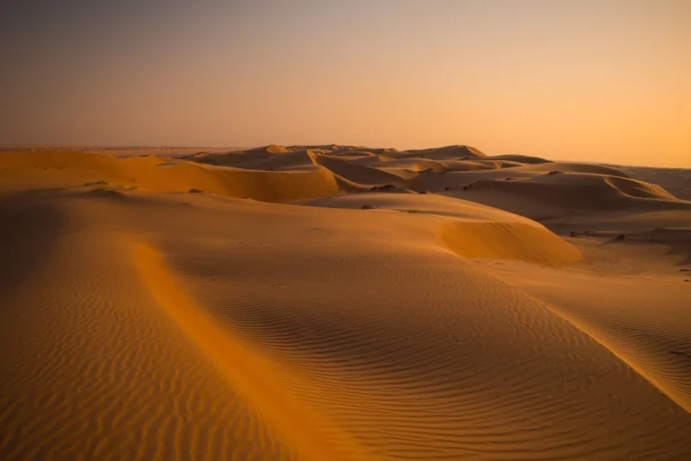 Denis Villeneuve : du cinéma québécois à Dune, par où entrer